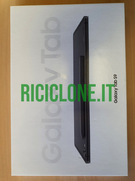 Samsung Galaxy Tab S9 - WiFi - 256gb - grigio