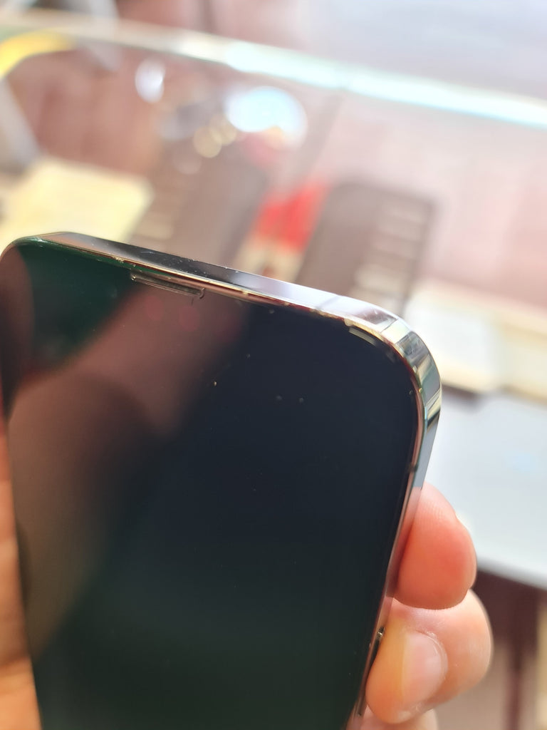 Apple iPhone 13 Pro - 512gb - grigio